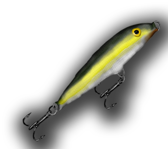 fishing lure